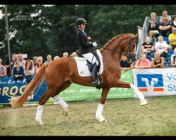 dressage horse Flora Rose (Hanoverian, 2015, from Fürst Nymphenburg)