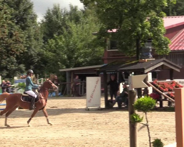 Reitturnier Marienheide - Kempershöher Reitertage 2017