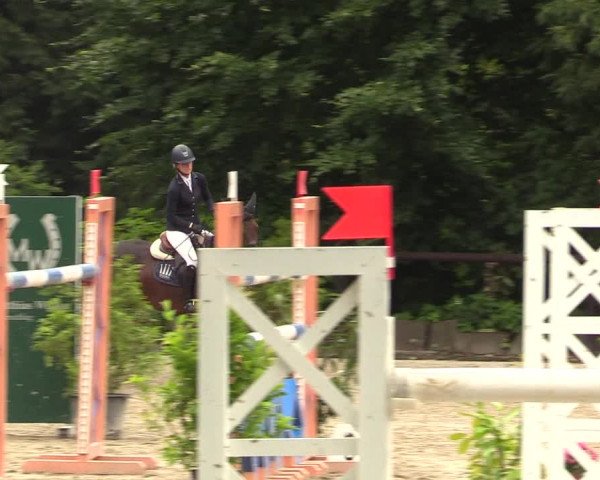 Reitturnier Marienheide - Kempershöher Reitertage 2017
