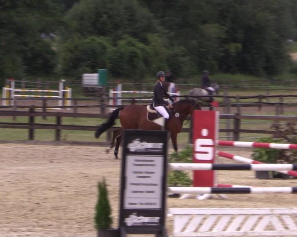 Reitturnier Hemer-Oese an der Edelburg 2017