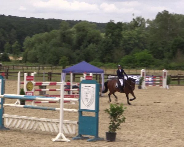 Reitturnier Hemer-Oese an der Edelburg 2017