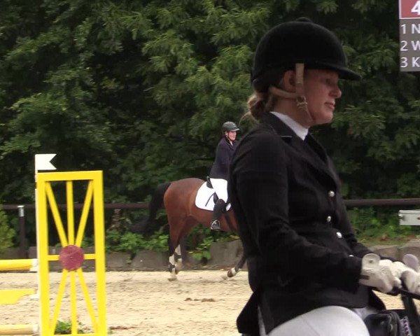 Reitturnier Marienheide - Kempershöher Reitertage 2017