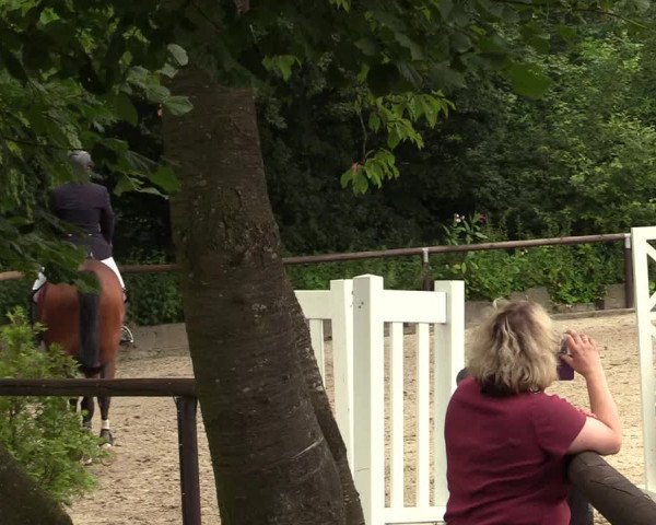 Reitturnier Marienheide - Kempershöher Reitertage 2017