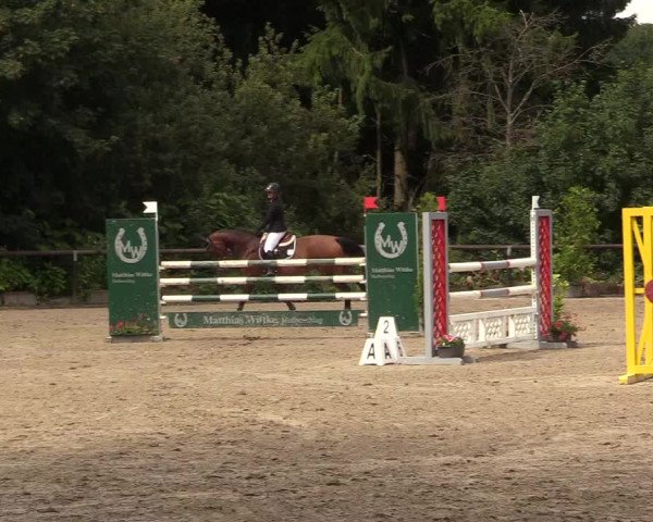 Reitturnier Marienheide - Kempershöher Reitertage 2017