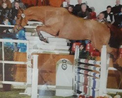 broodmare Raja Luzandra (Oldenburg show jumper, 2006, from Ludwig von Bayern 168 FIN)