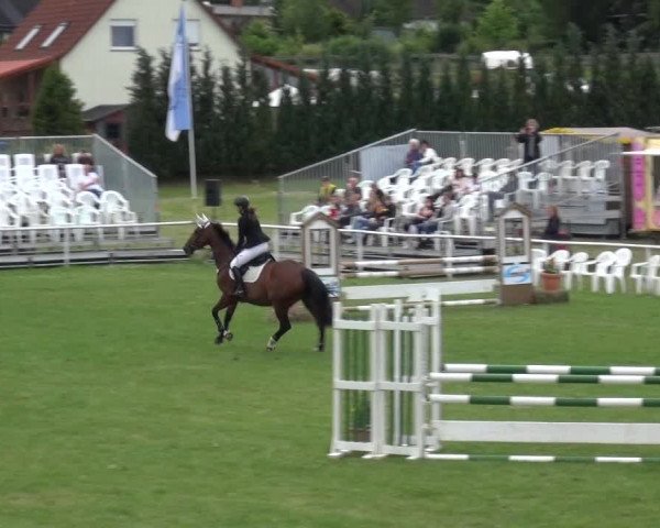 Reitturnier Allrode 2017