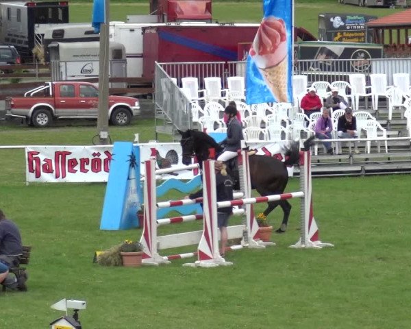 Reitturnier Allrode 2017