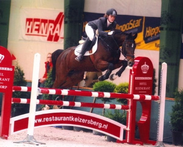broodmare Nieuwmoed's Nicollien (KWPN (Royal Dutch Sporthorse), 1995, from Harcos)