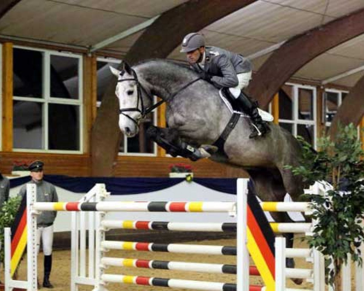 stallion Castellano (Hanoverian, 2009, from Cassini II)