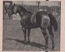 Deckhengst Pretty Pokey (Quarter Horse, 1948, von Poco Bueno)