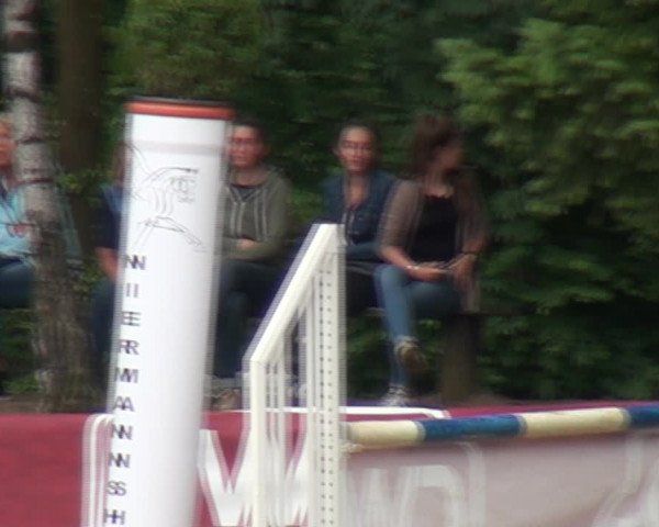 Reitturnier Erkrath-Unterfeldhaus 2017