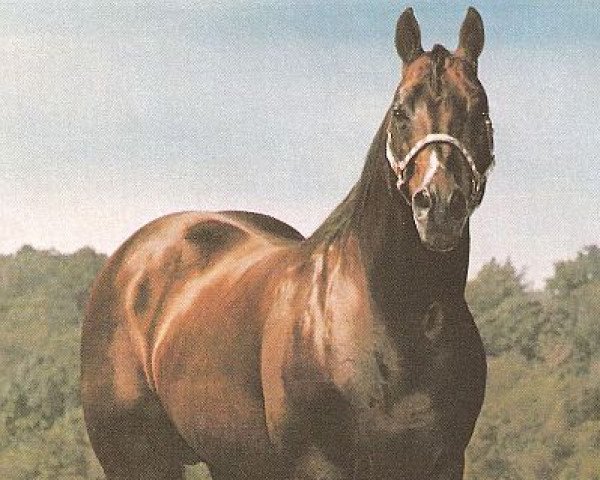 stallion Nu Bar (Quarter Horse, 1970, from Doc Bar)