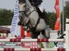 jumper Cortina Carlucci M (Hanoverian, 2009, from Carlucci 13)