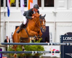 broodmare Roelofsen Horse Trucks Gioia van het Neerenbosch (Belgian Warmblood, 2006, from Nagano)