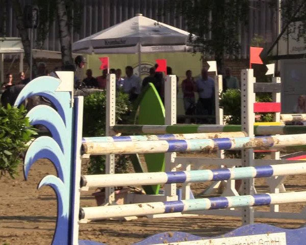 Reitturnier Herbern 2017