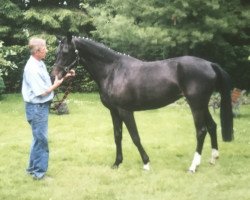 broodmare Flocke (Westphalian, 1998, from Faveur)