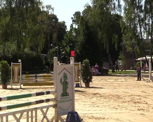 Reitturnier Herbern 2017