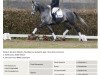 dressage horse First Class (Westphalian, 2016, from For Romance I)