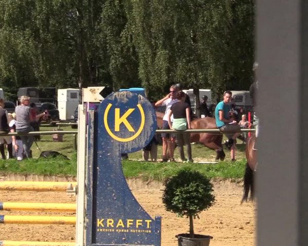Reitturnier Herbern 2017