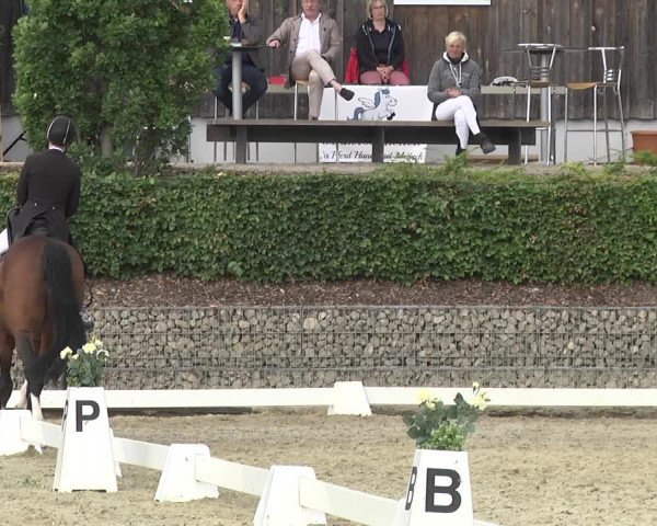Reitturnier Leudelange-Ecuries des Prés 2017