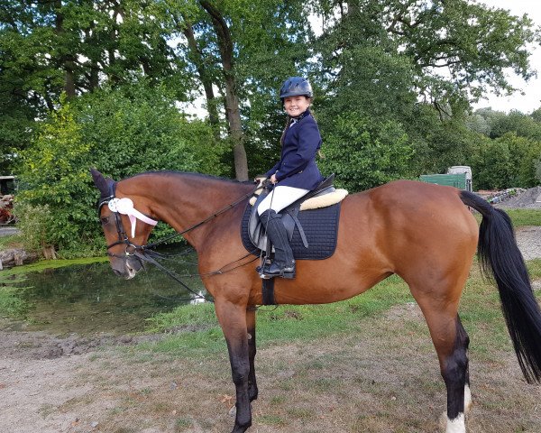 horse Lou-Sulola (German Sport Horse, 2006, from Lacordos)