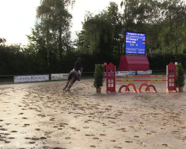 Reitturnier Herbern 2017