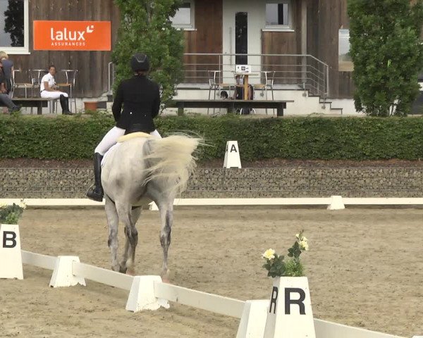 Reitturnier Leudelange-Ecuries des Prés 2017