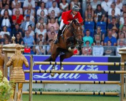 Springpferd Hannah (Belgisches Warmblut, 2007, von Dulf van den Bisschop)