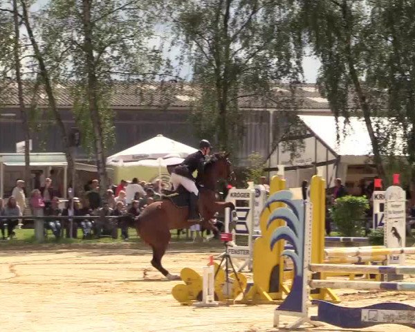 Reitturnier Herbern 2017