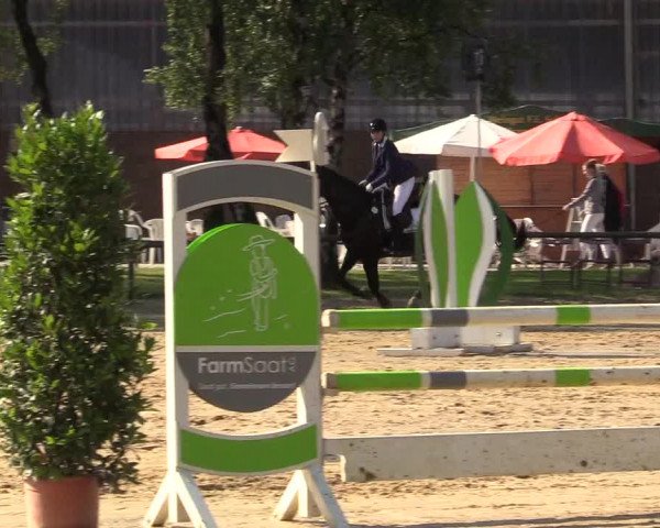 Reitturnier Herbern 2017