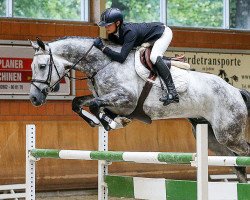 dressage horse Cantalupi (Rhinelander, 2010, from Cornado NRW)