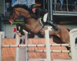 jumper Con Angelo (Oldenburg show jumper, 2010, from Cristallo I)