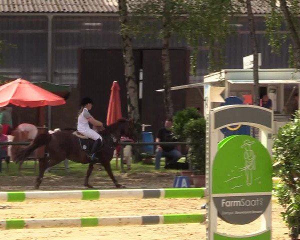 Reitturnier Herbern 2017