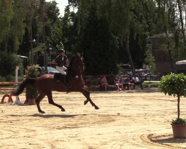 Reitturnier Herbern 2017