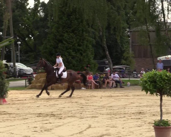 Reitturnier Herbern 2017