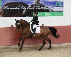 dressage horse Rockoko 2 (Württemberger, 2003, from Ricardo)