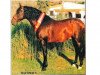 stallion Macanuo (Pura Raza Espanola (PRE), 1984, from Lebrijano III)