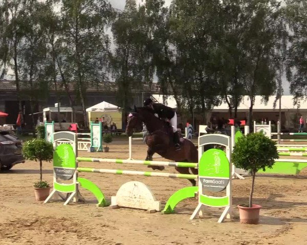 Reitturnier Herbern 2017