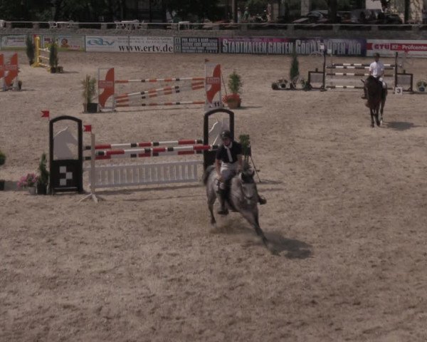 Reitturnier Görlitz 2017