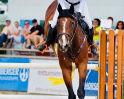 jumper Jottum de Rialfo (Belgian Warmblood, 2009, from Andiamo)