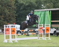 jumper Flagrant Verde (Oldenburg show jumper, 2006, from For Keeps)