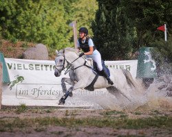 jumper Cosmic Cheesecake (Holsteiner, 2009, from VDL Cardento 933)