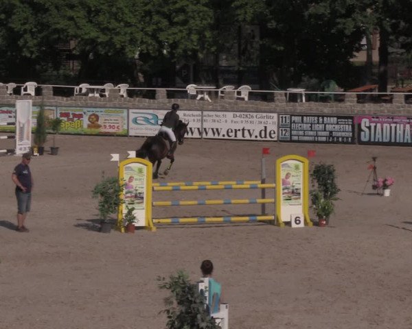 Reitturnier Görlitz 2017