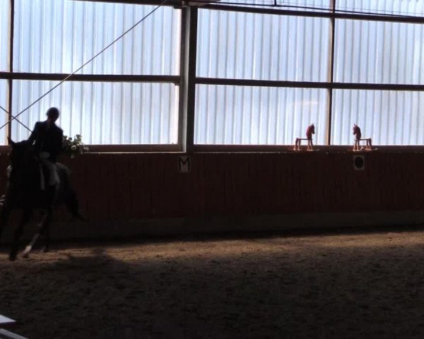 Reitturnier Herbern 2017