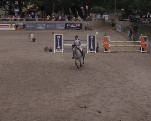 Reitturnier Görlitz 2017