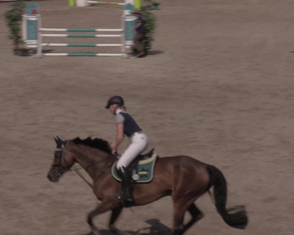 Reitturnier Görlitz 2017