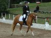 dressage horse Dana 398 (German Riding Pony, 2008, from FS Don't Worry)