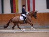 dressage horse Francesca (Hanoverian, 2012, from Fürst Nymphenburg)