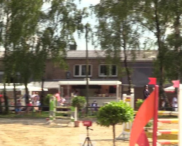 Reitturnier Herbern 2017
