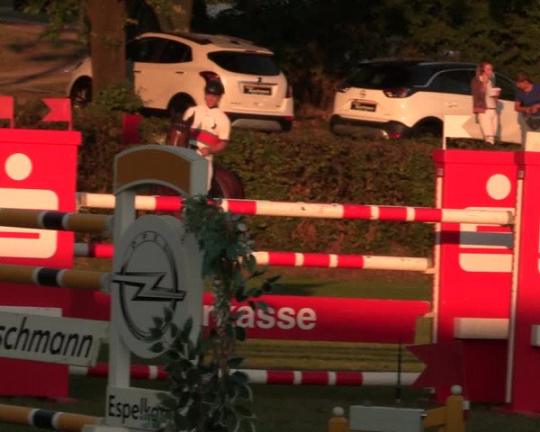 Reitturnier Vlotho-Exter 2017